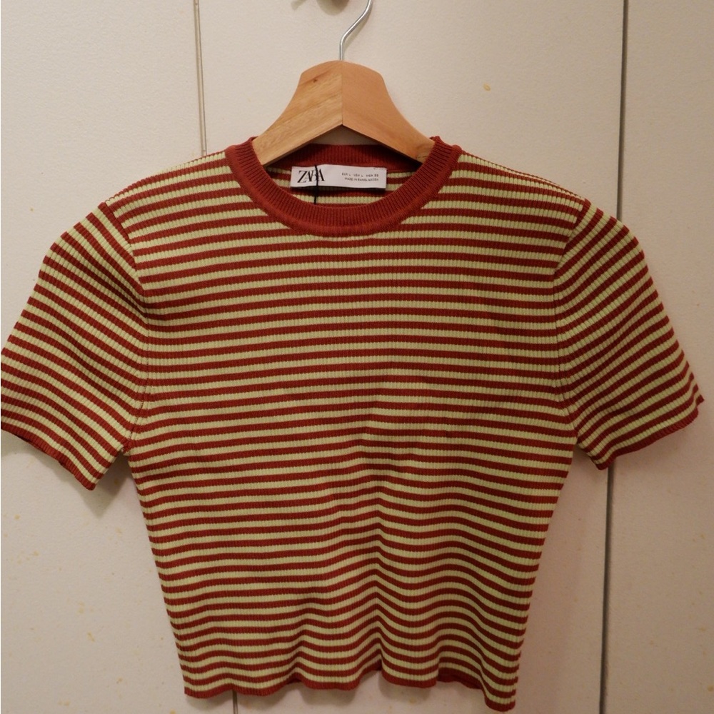 Zara short sleeve cropped top!
